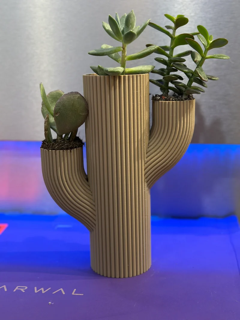 Vaso Stile CACTUS