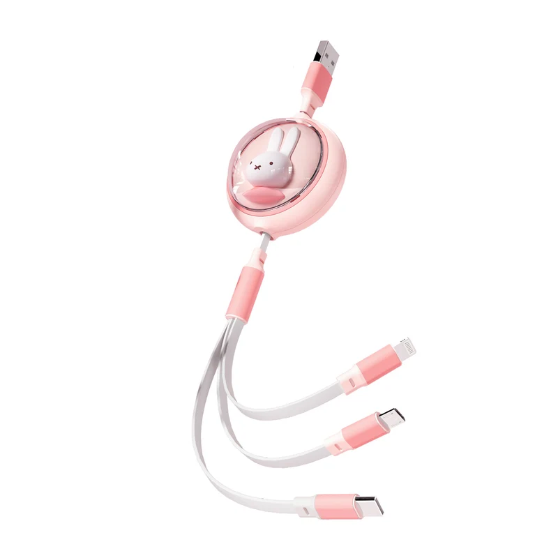 3 in 1 Retractable Cable