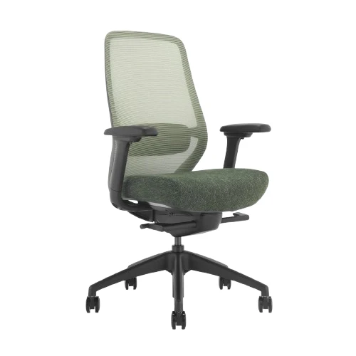 Desky CoilFlex Ergonomic Office Chair - Dark Green / No Headrest